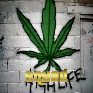 Meet your Posher, Alfonso